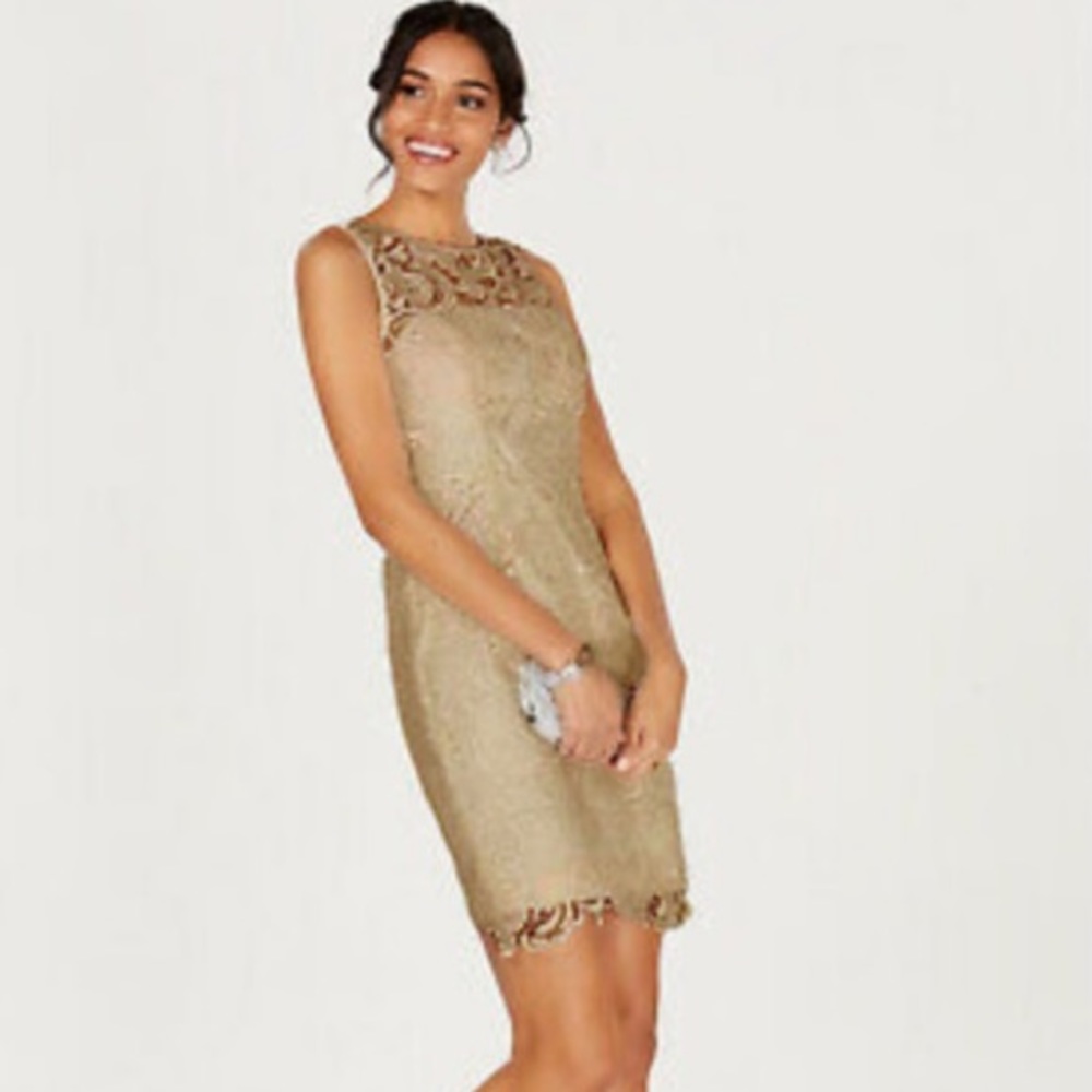 Adrianna Papell Taupe Lace shift Dress size 8